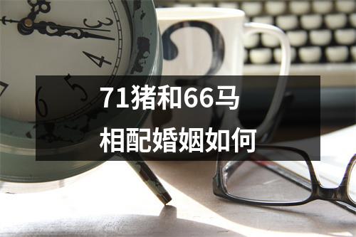 71猪和66马相配婚姻如何