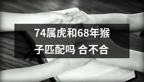 <h3>74属虎和68年猴子匹配吗合不合