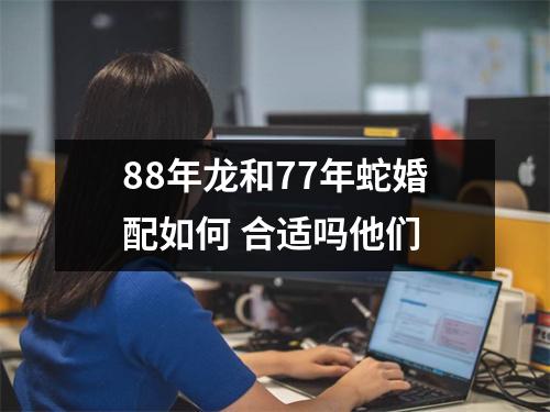 <h3>88年龙和77年蛇婚配如何合适吗他们