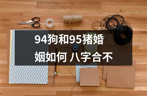 <h3>94狗和95猪婚姻如何八字合不