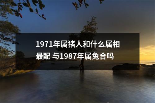 1971年属猪人和什么属相配与1987年属兔合吗