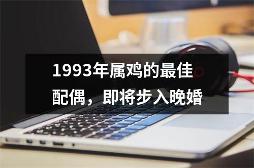 <h3>1993年属鸡的佳配偶，即将步入晚婚