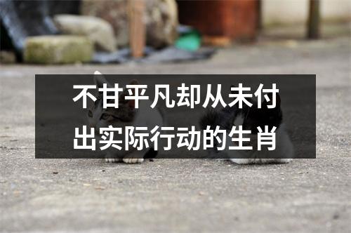 <h3>不甘平凡却从未付出实际行动的生肖