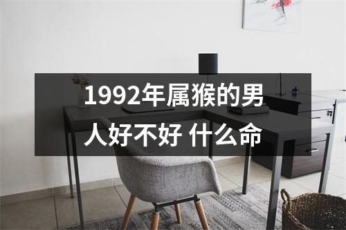 <h3>1992年属猴的男人好不好什么命