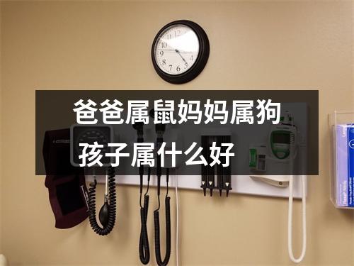 <h3>爸爸属鼠妈妈属狗孩子属什么好