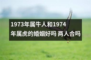 <h3>1973年属牛人和1974年属虎的婚姻好吗 两人合吗
