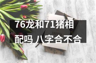 <h3>76龙和71猪相配吗 八字合不合