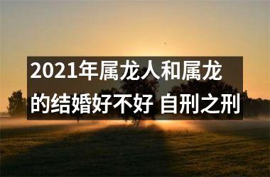 2025年属龙人和属龙的结婚好不好 自刑之刑
