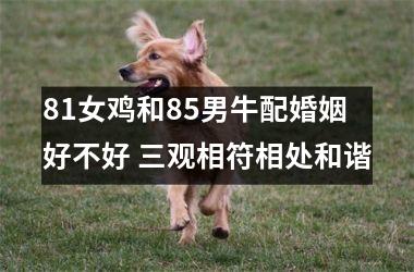 <h3>81女鸡和85男牛配婚姻好不好 三观相符相处和谐