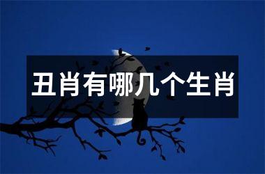 丑肖有哪几个生肖