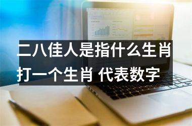 <h3>二八佳人是指什么生肖 打一个生肖 代表数字