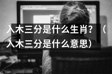 入木三分是什么生肖？（入木三分是什么意思）