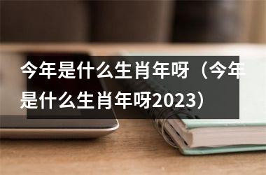 <h3>今年是什么生肖年呀（今年是什么生肖年呀2025）