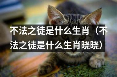 <h3>不法之徒是什么生肖（不法之徒是什么生肖晓晓）