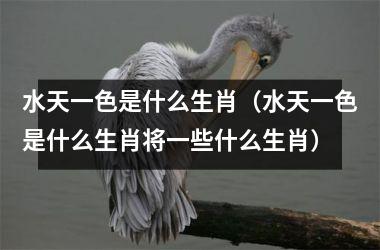 <h3>水天一色是什么生肖（水天一色是什么生肖将一些什么生肖）