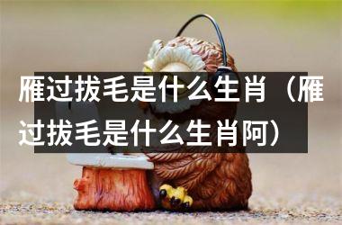 雁过拔毛是什么生肖（雁过拔毛是什么生肖阿）