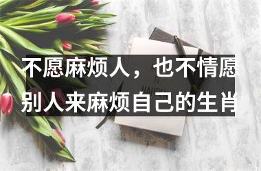 <h3>不愿麻烦人，也不情愿别人来麻烦自己的生肖