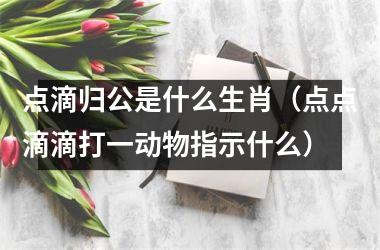 <h3>点滴归公是什么生肖（点点滴滴打一动物指示什么）