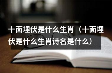 <h3>十面埋伏是什么生肖（十面埋伏是什么生肖诗名是什么）