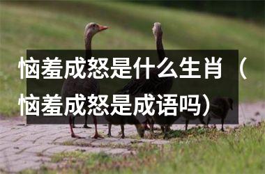 <h3>恼羞成怒是什么生肖（恼羞成怒是成语吗）