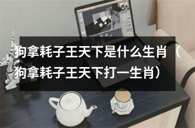 狗拿耗子王天下是什么生肖（狗拿耗子王天下打一生肖）
