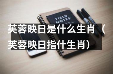 芙蓉映日是什么生肖（芙蓉映日指什生肖）