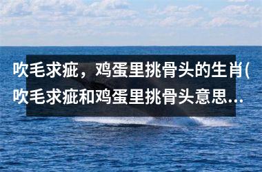吹毛求疵，鸡蛋里挑骨头的生肖(吹毛求疵和鸡蛋里挑骨头意思一样吗)