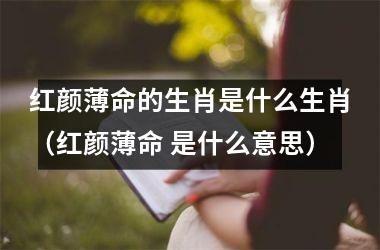 红颜薄命的生肖是什么生肖（红颜薄命 是什么意思）