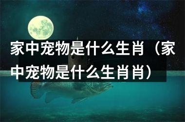 家中宠物是什么生肖（家中宠物是什么生肖肖）