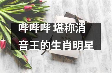 <h3>哔哔哔 堪称消音王的生肖明星