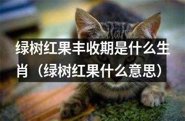 <h3>绿树红果丰收期是什么生肖（绿树红果什么意思）