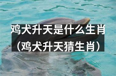 <h3>鸡犬升天是什么生肖（鸡犬升天猜生肖）