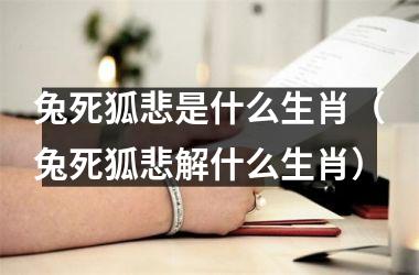 <h3>兔死狐悲是什么生肖（兔死狐悲解什么生肖）