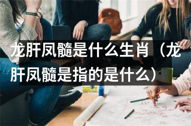 <h3>龙肝凤髓是什么生肖（龙肝凤髓是指的是什么）