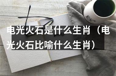 <h3>电光火石是什么生肖（电光火石比喻什么生肖）