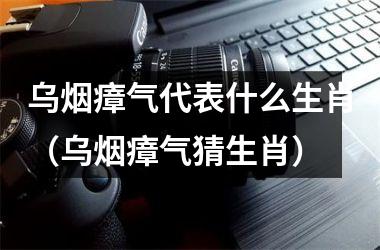 <h3>乌烟瘴气代表什么生肖（乌烟瘴气猜生肖）