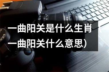 <h3>一曲阳关是什么生肖（一曲阳关什么意思）