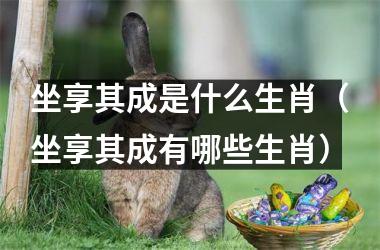 坐享其成是什么生肖（坐享其成有哪些生肖）