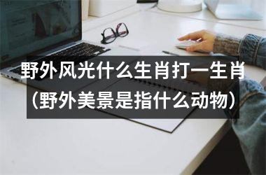 <h3>野外风光什么生肖打一生肖（野外美景是指什么动物）
