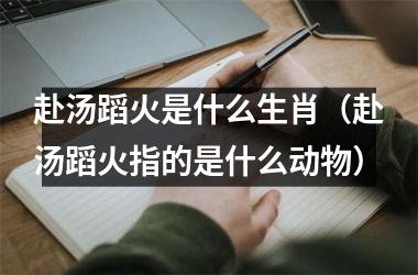 <h3>赴汤蹈火是什么生肖（赴汤蹈火指的是什么动物）