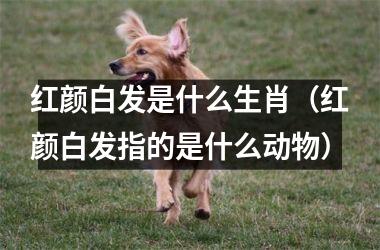 <h3>红颜白发是什么生肖（红颜白发指的是什么动物）