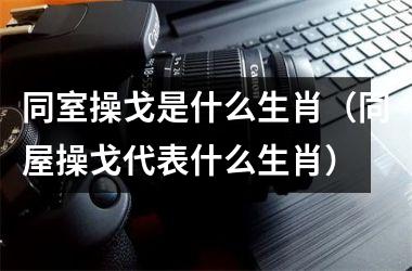 同室操戈是什么生肖（同屋操戈代表什么生肖）