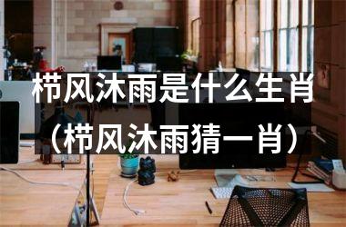 <h3>栉风沐雨是什么生肖（栉风沐雨猜一肖）