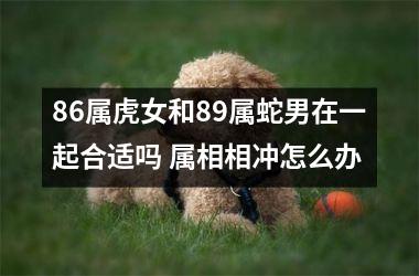 86属虎女和89属蛇男在一起合适吗 属相相冲怎么办