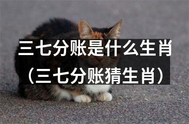 <h3>三七分账是什么生肖（三七分账猜生肖）