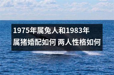 1975年属兔人和1983年属猪婚配如何 两人性格如何