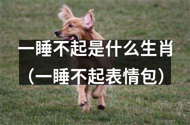 <h3>一睡不起是什么生肖（一睡不起表情包）