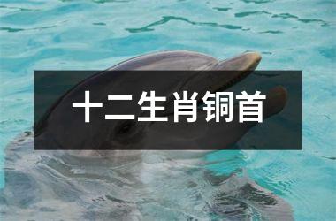 <h3>十二生肖铜首