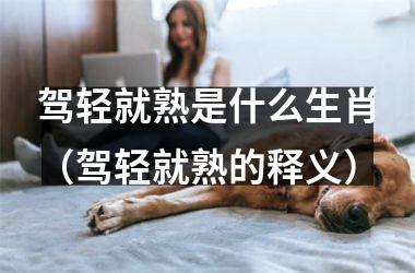 <h3>驾轻就熟是什么生肖（驾轻就熟的释义）