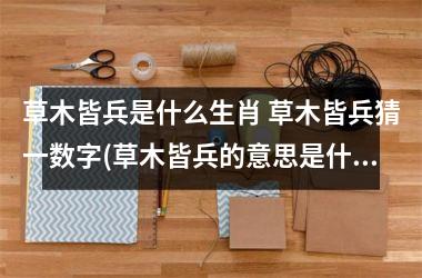 <h3>草木皆兵是什么生肖 草木皆兵猜一数字(草木皆兵的意思是什么生肖)
